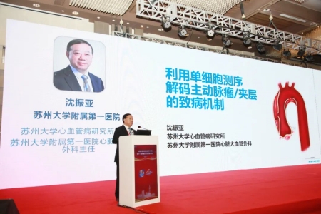 蘇州大學(xué)心血管病研究所所長、蘇州大學(xué)附屬第一醫(yī)院心臟大血管外科主任沈振亞教授作報告